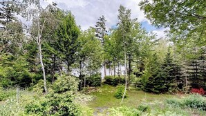 A forested area with a stone pathway leading through dense greenery. - Dog-Friendly Lakefront Home w/ Deck, Firepit, Water Views & Games (Rockwood)
