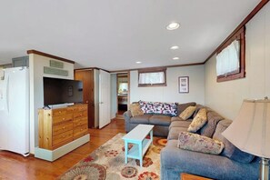 TV