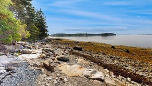 A rocky shoreline with trees and a calm body of water. - Dog-friendly oceanfront cottage with views (St. George)