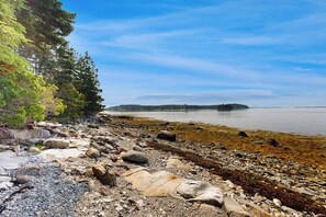 A rocky shoreline with trees and a calm body of water.