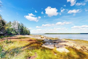 Un paysage naturel caractérisé par une cÎte rocheuse, des zones herbeuses et des arbres.