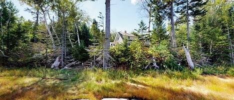 A forested area with a house surrounded by tall trees and a rocky foreground.
