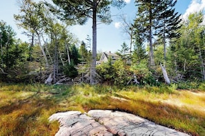Une zone boisée avec une maison entourée de grands arbres et un premier plan rocheux.