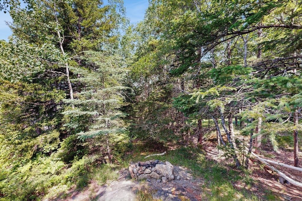 A forested area with a pile of rocks and a path.