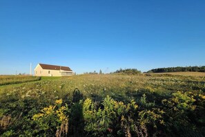 A white building with a red roof, surrounded by a field with various plants and a clear blue sky.