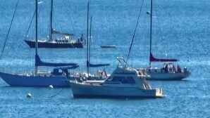 Un port de plaisance où sont amarrés plusieurs voiliers.