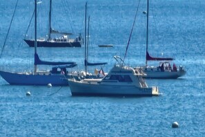 A marina with several sailboats docked. - Waterfront home with beautiful bay views - near shops & dining (Owls Head)