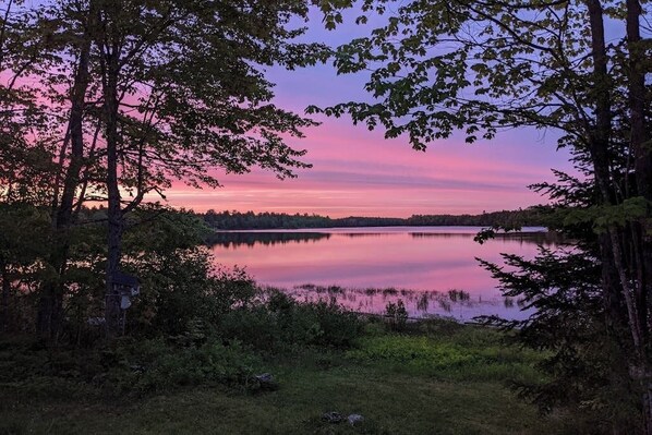 A tranquil lakeside scene with trees and a clear view of the water.