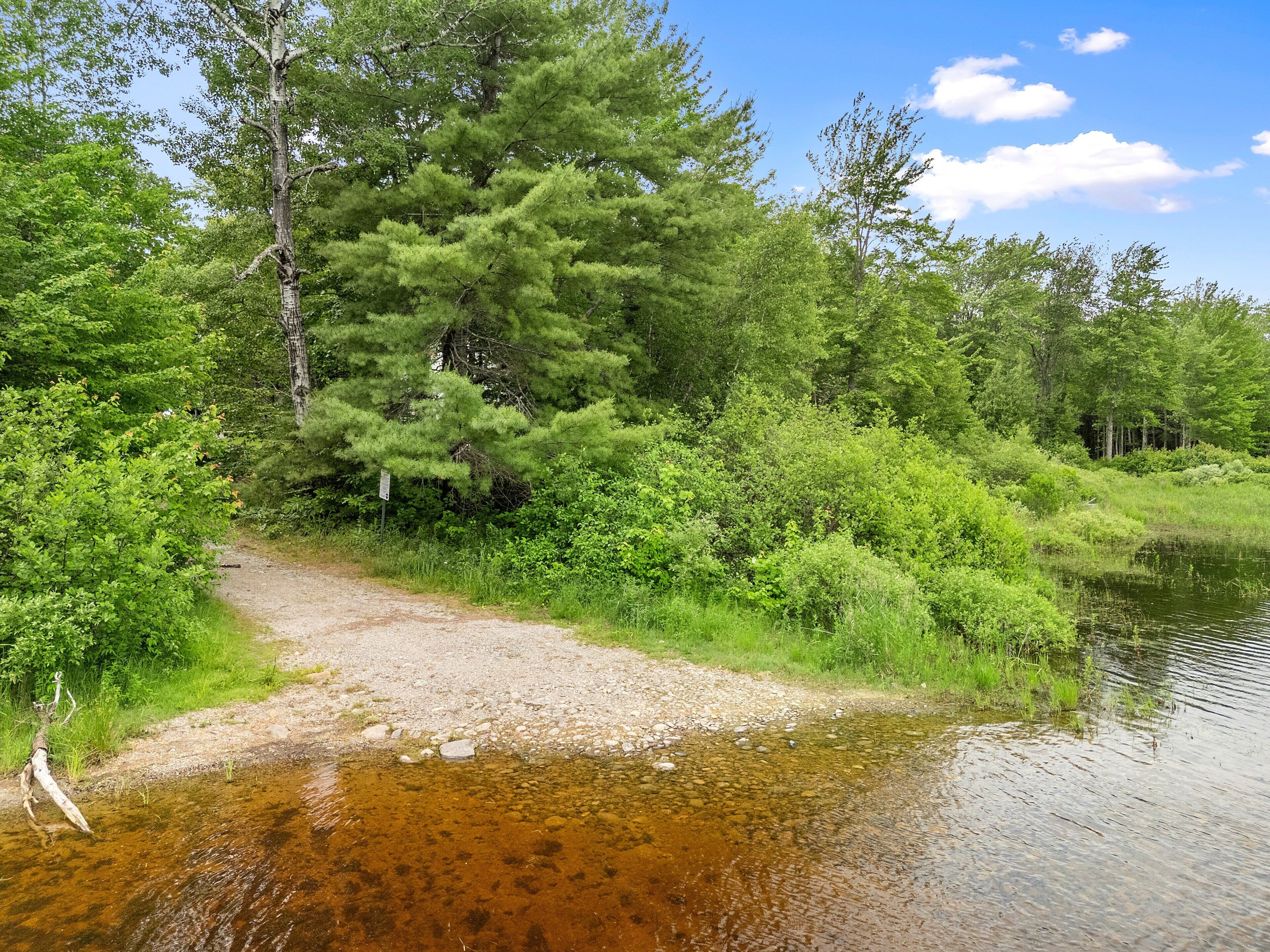 A natural landscape with a dirt path leading to a body of water, surrounded by dense greenery and trees.