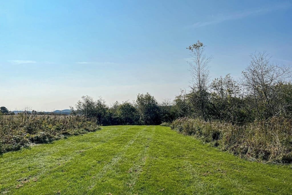 A grassy field with trees and bushes, a clear sky, and distant hills.