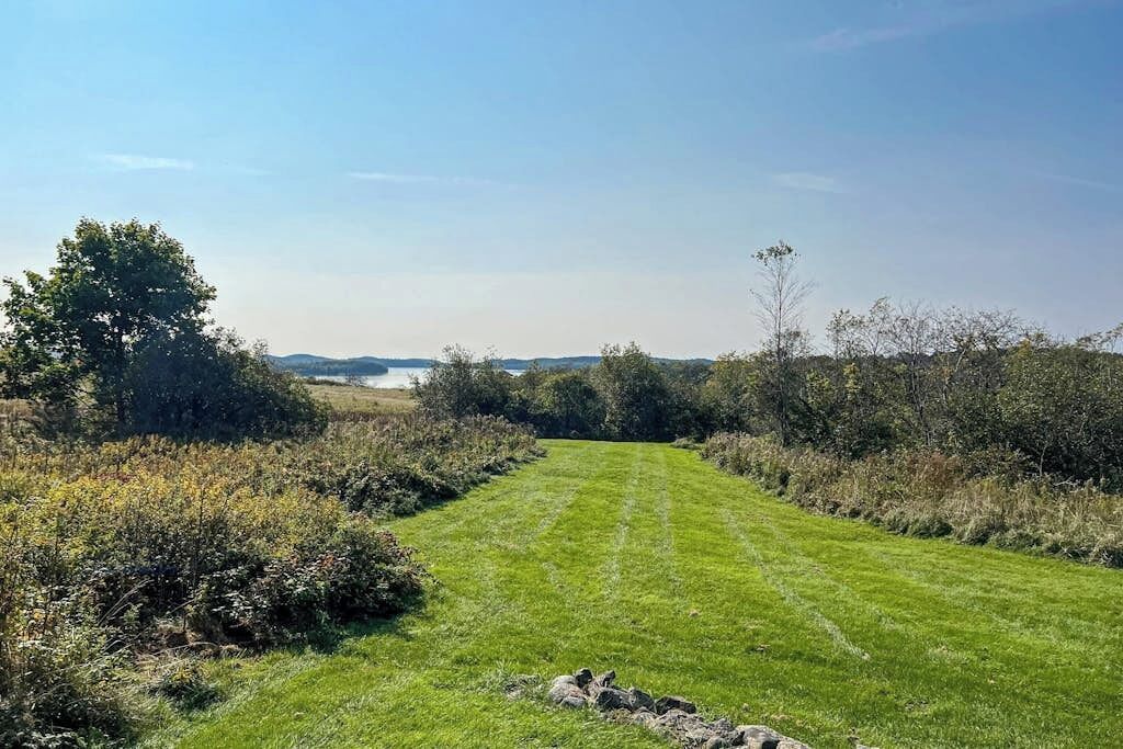 A grassy pathway leading to a body of water with trees and shrubs on either side.