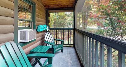 Relaxing two-bedroom dog-friendly cabin with fireplace, AC, hiking & fun
