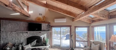 TV, fireplace, DVD player, books