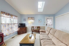 TV, fireplace, books