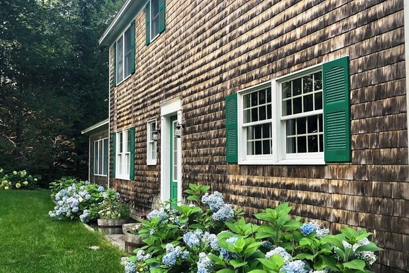 A wooden house with green shutters and a white door.
