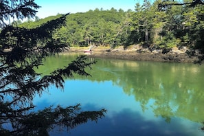 A calm lake with a boat, surrounded by dense forest.