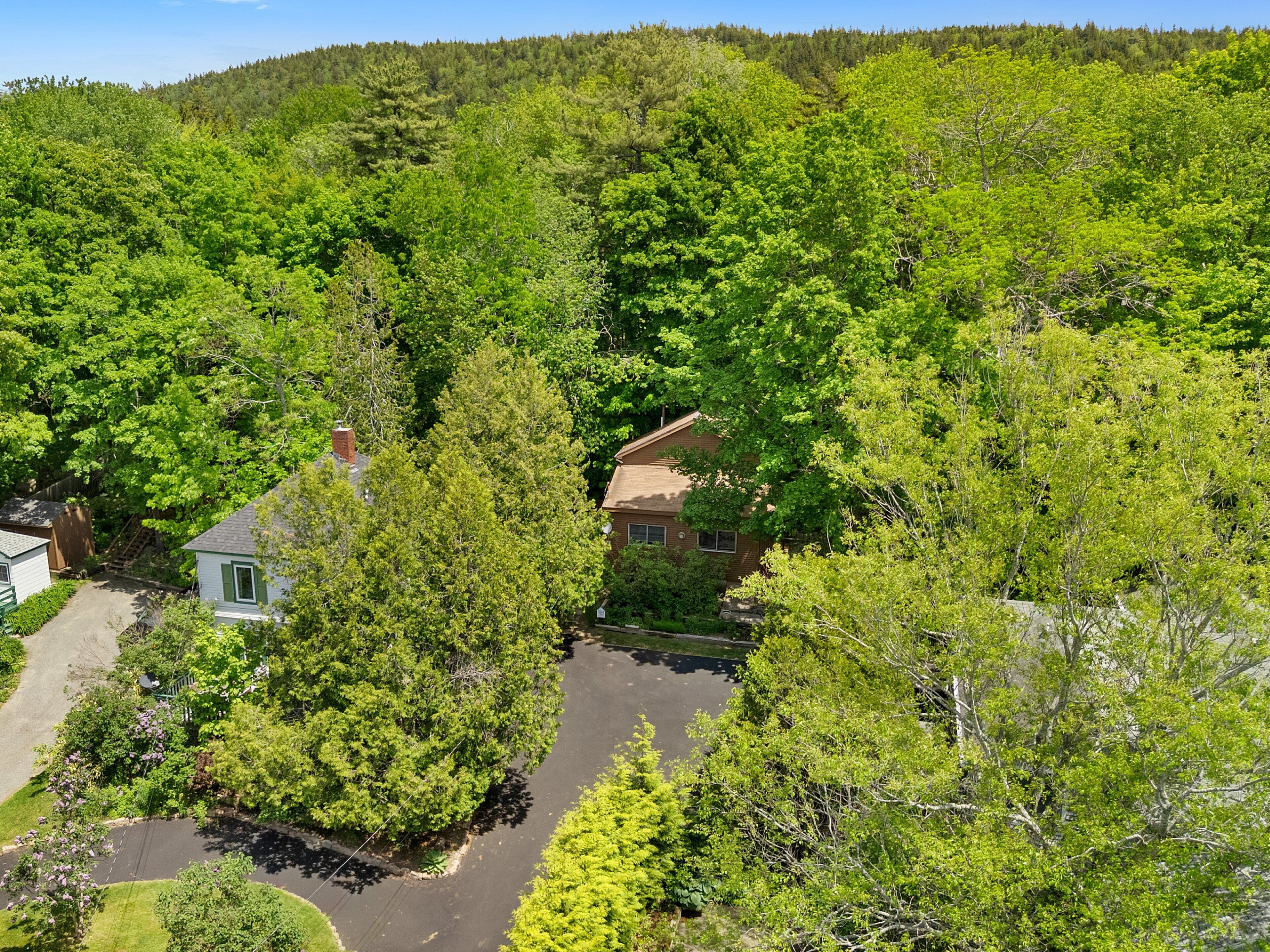 A residential area with a house surrounded by dense green trees, a driveway, and a small building.