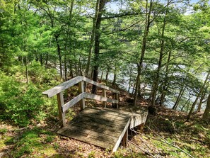 Una escalera de madera que lleva a una plataforma rodeada de un bosque frondoso y una masa de agua.
