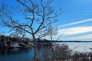 A tree by a calm lake with a clear sky. - The Lighthouse: Gorgeous Oceanfront Home with Hot Tub, Modern Remodel, and Stunning Views (Wiscasset)