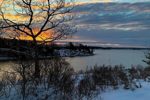 A winter landscape with a tree in the foreground, a body of water, and a distant shoreline. - The Lighthouse: Gorgeous Oceanfront Home with Hot Tub, Modern Remodel, and Stunning Views (Wiscasset)