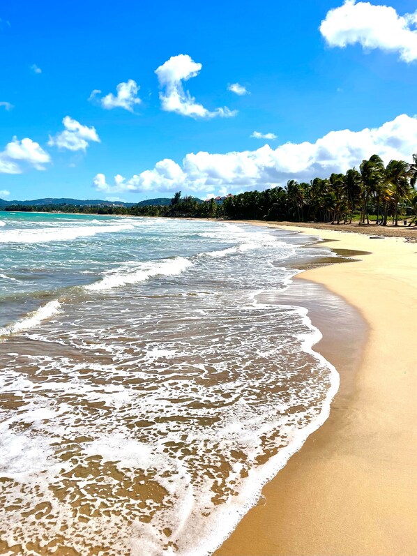 A beach with clear blue water, sandy shore, and palm trees. - Spacious 3 bedroom Rio Mar Villa with Spectacular Ocean View & Golf Cart! (Río Grande)
