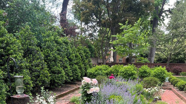 A garden with various plants and flowers, a brick pathway, and a bird feeder. - Richmond Near West End, Charming Private Cottage (Richmond)