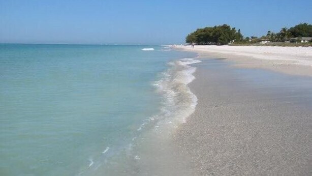 Una playa con aguas cristalinas, una orilla arenosa y un pequeño grupo de árboles.