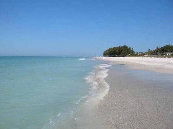A beach with clear water, a sandy shore, and a small cluster of trees. - Longboat Key Paradise! Pool ~ Beach ~  Kayaking ~ Shopping (Longboat Key)