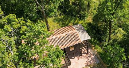 Domaine la Védence: La Cabane Tchanquée
