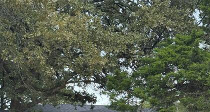 Awesome 3-bedroom house 1.5 miles to Lake Texoma & 5 miles to Megastar casino
