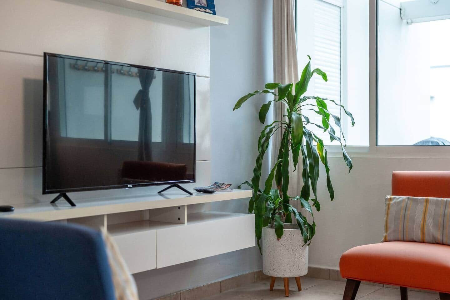 TV