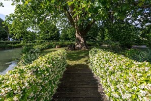 Property grounds - Villa Cirra - Country Villa with Private Pool (Lucca)