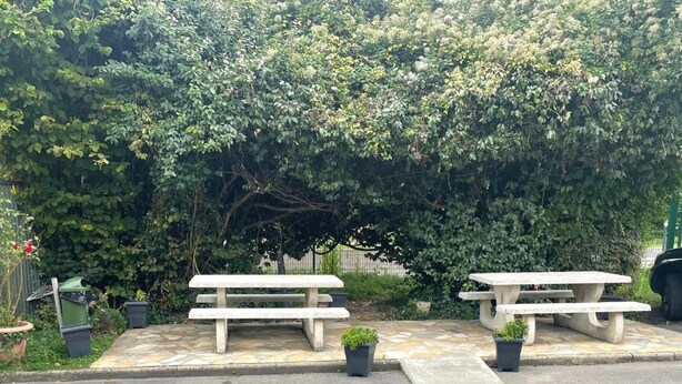 Two outdoor picnic tables with potted plants in front, set against a backdrop of dense foliage. - Hotelf1 Marne la Vallee Collegien (Collegien)
