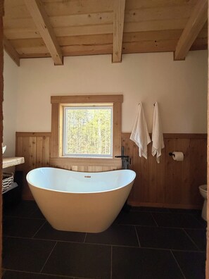 Shower, hair dryer, towels, soap - The Sycamore (Mount Nebo)