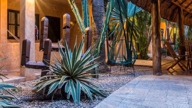 Een tropische tuin met een rieten constructie, palmbomen en een zitgedeelte met stoelen.