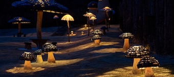 A VILLAGE