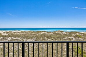 Property grounds - Newly remodeled oceanfront condo steps to the beach (Fernandina Beach)