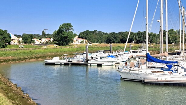 Een jachthaven met aangemeerde boten, rustig water en een grasrijke oever.