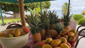 A table with a bowl of mangoes, a bowl of pineapples, and a wooden bowl of mangoes.
