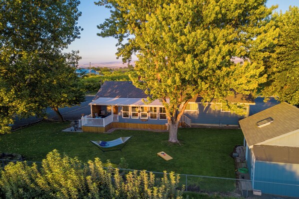 Une maison avec un grand arbre, une terrasse et une cour clôturée.