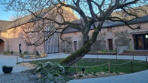 A courtyard with a brick building, a large tree, and a gate. - Gîte with 9 rooms for 24 people (BRAINE LE COMTE)