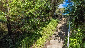 A concrete staircase surrounded by dense greenery. - Hekereua Heights - Spa & Ocean Views (Waiheke Island)