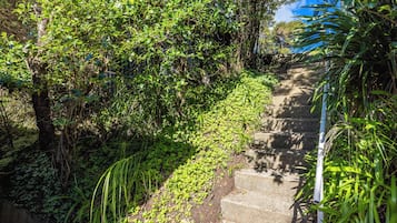 A concrete staircase surrounded by dense greenery.