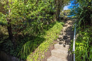 Una escalera de hormigón rodeada de abundante vegetación.