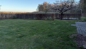 A grassy field with a tree and a hedge in the foreground. - Stylishly furnished first floor apartment with garden view (Rheinsberg)