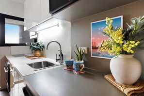 Fridge, microwave, oven, stovetop - Beautiful Studio with City Views in Randwick (Randwick)
