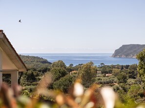 View from property - Casa Martina: charming one-bedroom apartment (Capoliveri)
