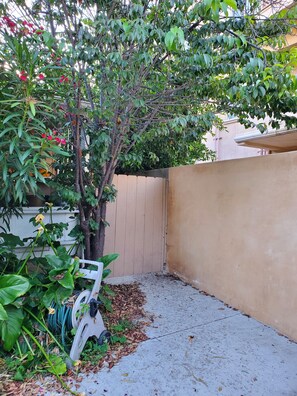 Property grounds - Bright UCLA/Santa Monica 1B/1B Co-Living (Los Angeles)