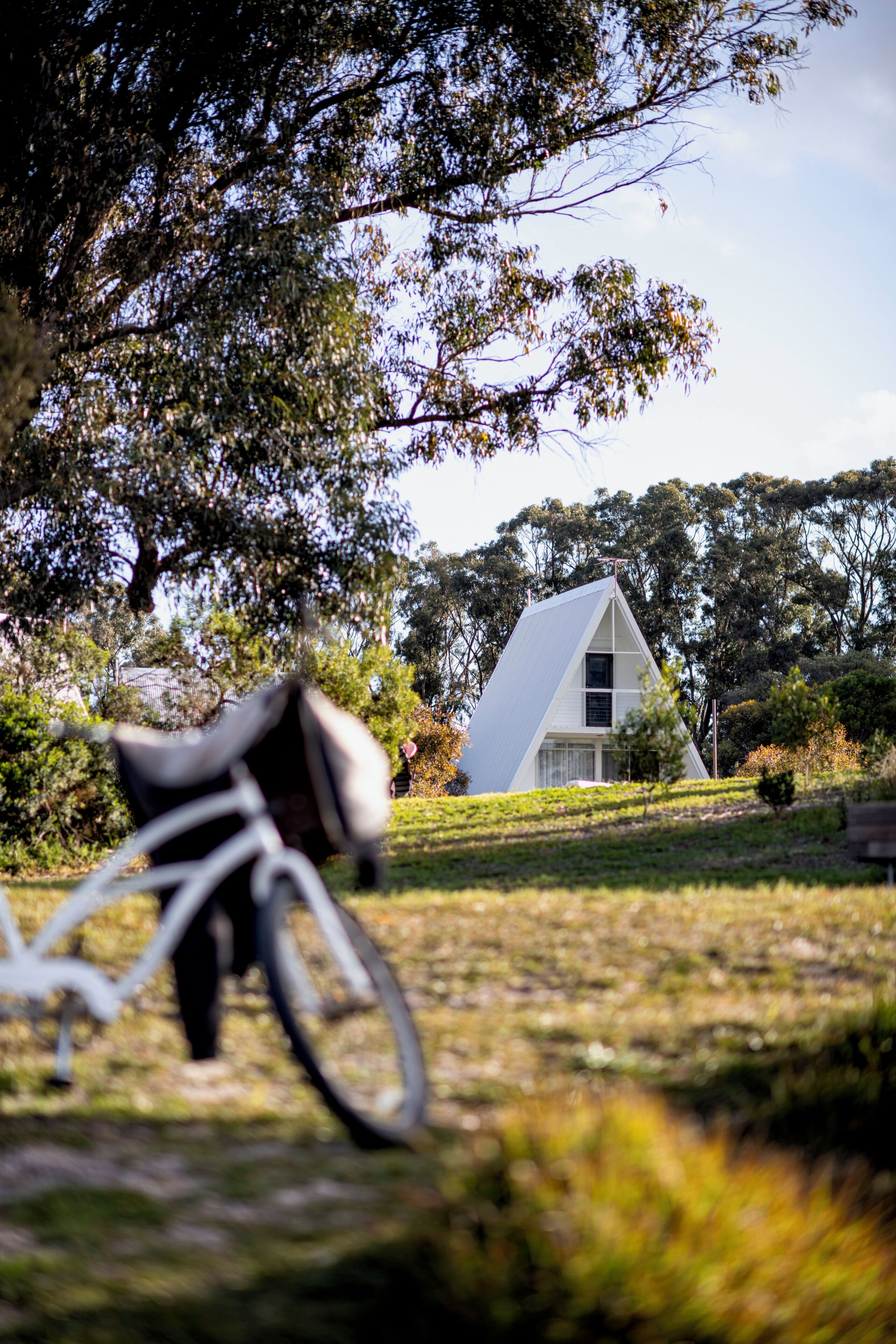 A bicycle leaning against a tree in a grassy area with a modern house in the background.