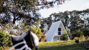Een fiets steunt tegen een boom in een grasrijk gebied, met een modern huis op de achtergrond.